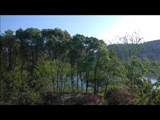 南湖·御龙湾实景图2