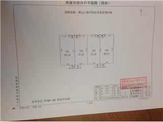 君山三角坪综合开发项目（合众·领岛）Ｂ32