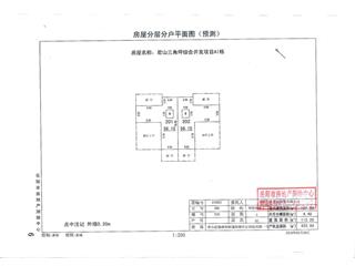 君山三角坪综合开发项目（合众·领岛）A172