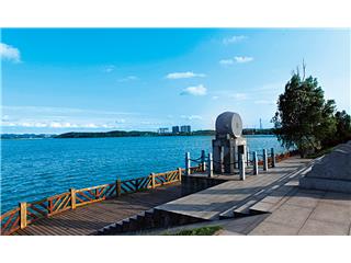 芭蕉湖·恒泰雅园实景图8