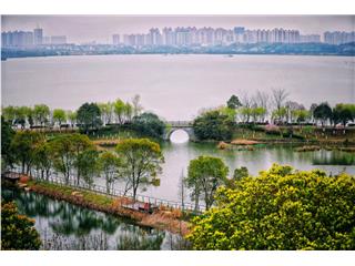 江河·南湖天著项目一期实景图4
